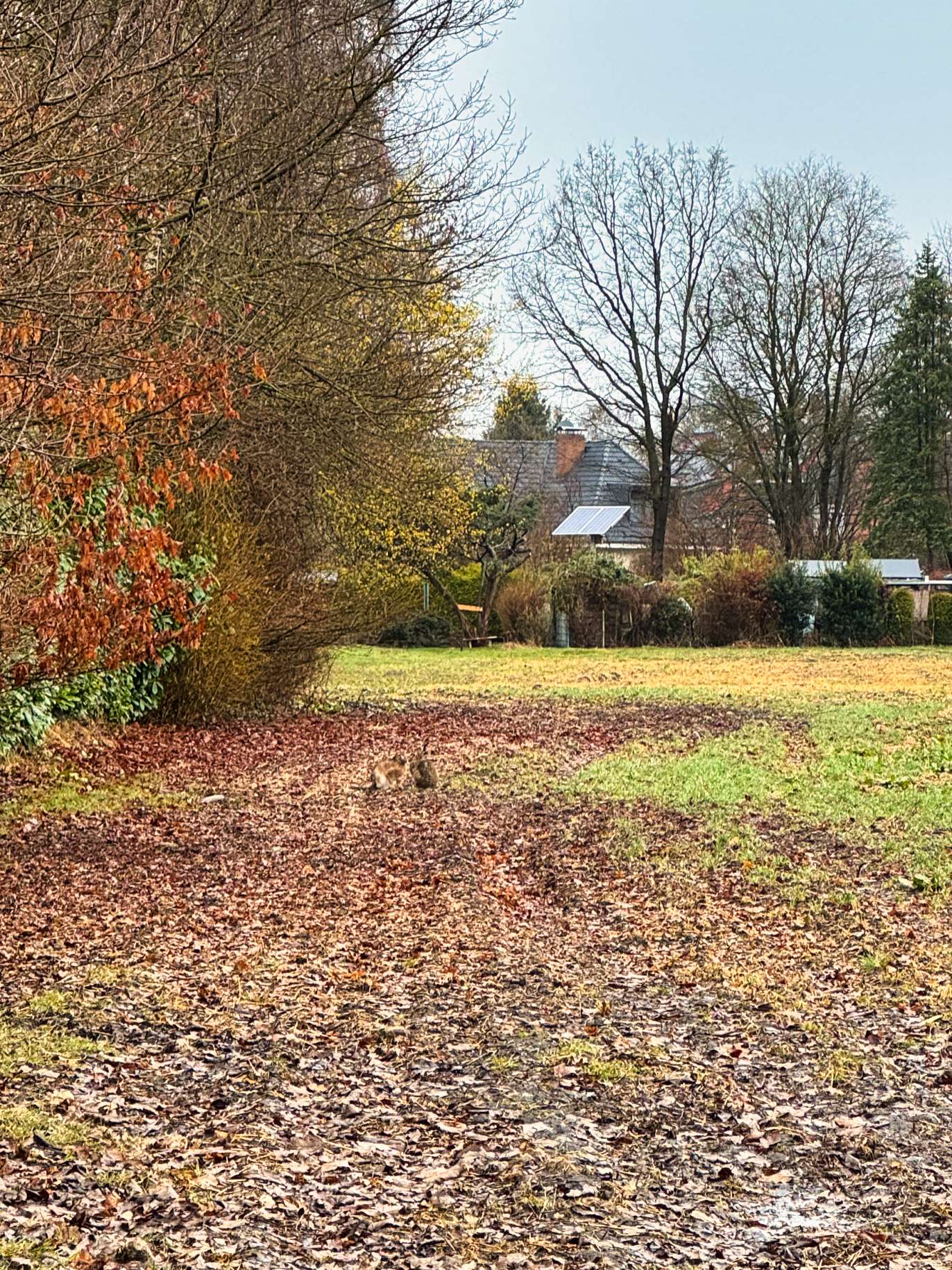 Osterhasen Besprechung